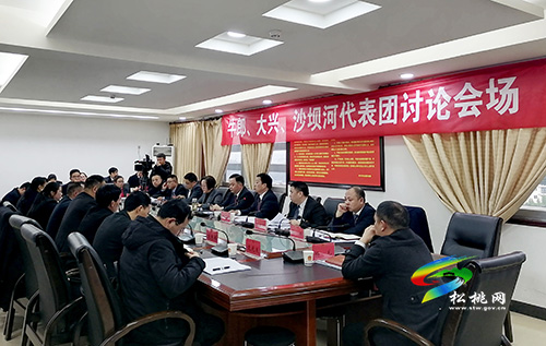 李俊宏在参加牛郎大兴沙坝河代表团审议时强调