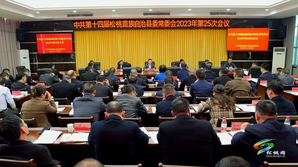 县委常委会2023年第25次会议召开