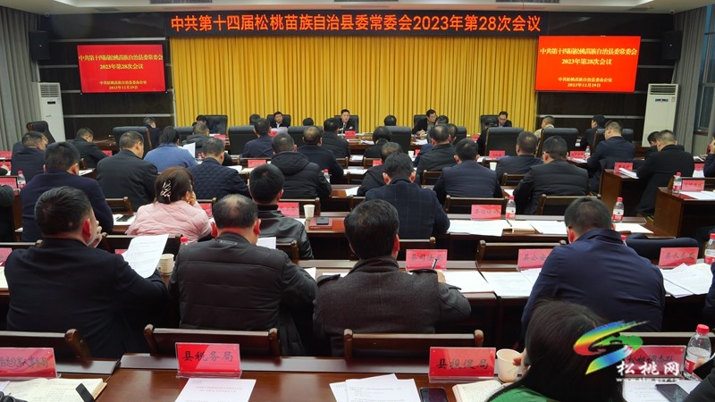 县委常委会2023年第28次会议召开