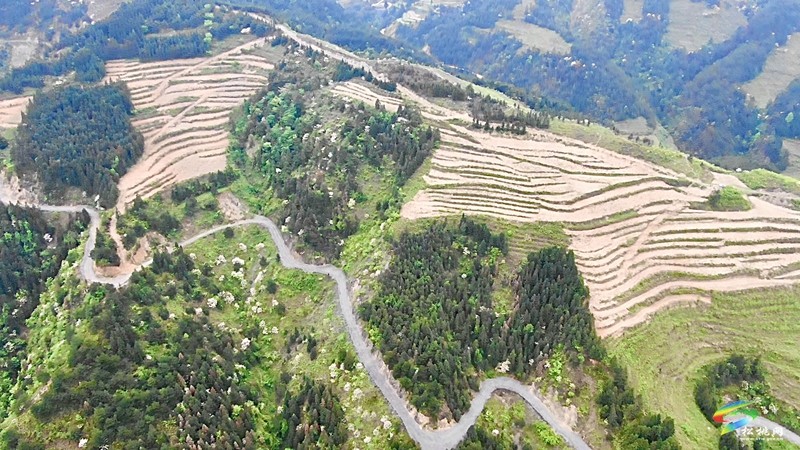 【奋进的春天】平头镇：向土地要财富 让荒山变金山