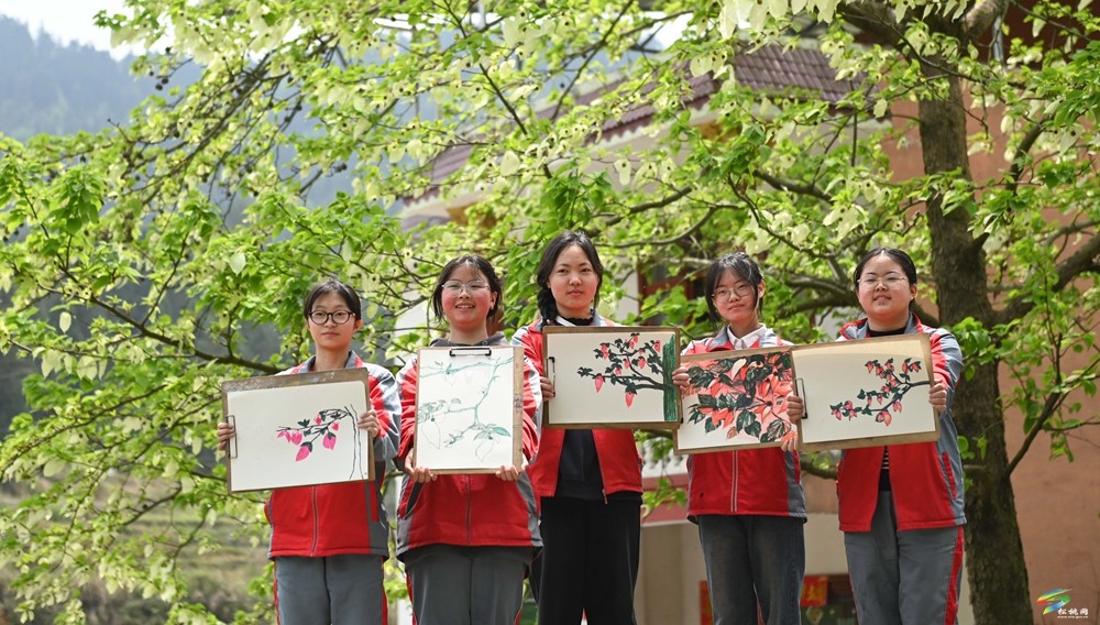 【多彩贵州·花漾中国】松桃：梵净山下 鸽子花开