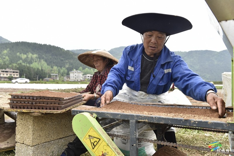 【奋进的春天】普觉镇:自动化育秧 让春耕生产跑出“加速度”