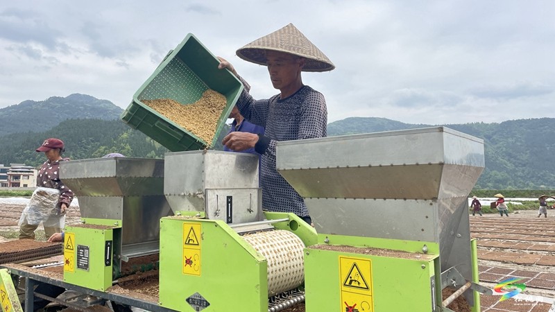 【奋进的春天】普觉镇:自动化育秧 让春耕生产跑出“加速度”