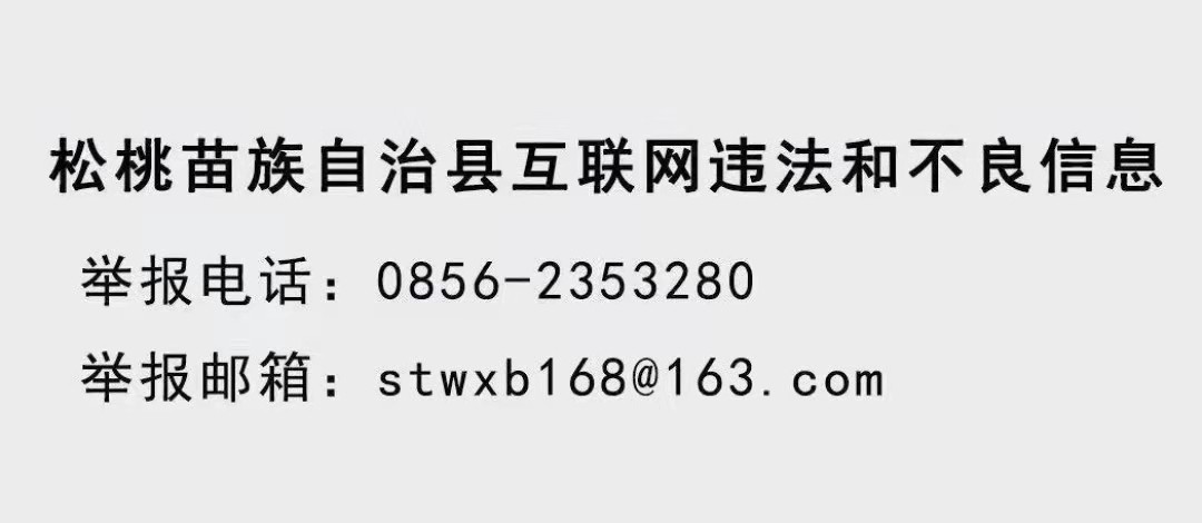 永安乡组织开展2024年地质灾害应急演练活动