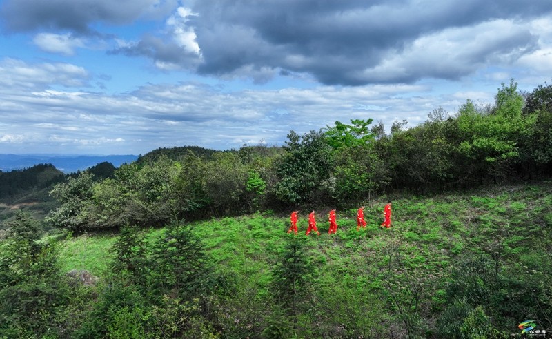 松桃阳雀林场：守护万亩青山  构筑绿色屏障