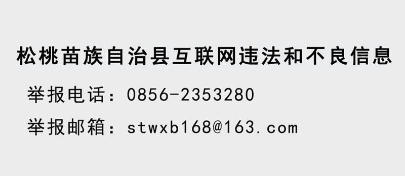 寨英镇中学开展“法治进校园”宣讲活动