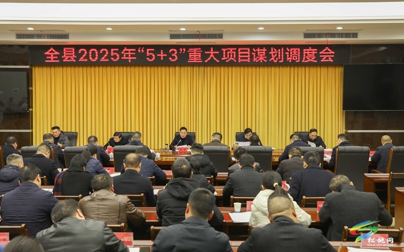 陈琪主持召开全县2025年“5+3”重大项目谋划调度会